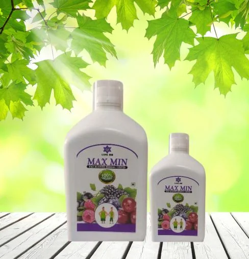 Fat Burner Max Min Liquid